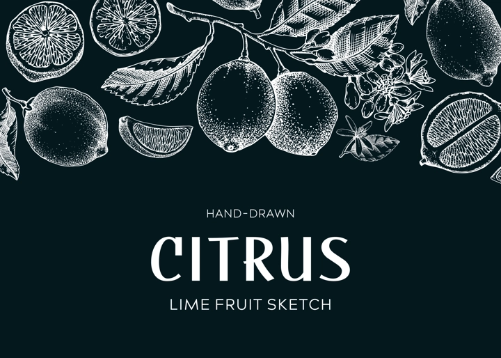 Lime fruit frame. Exotic plants design template. Citrus fruit sketches on chalkboard. Summer background. Hand drawn vector illustration. NOT AI generated